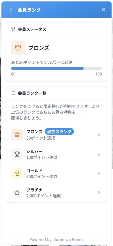 パネルの会員ランク画面（ランクステータス・ランク一覧）
